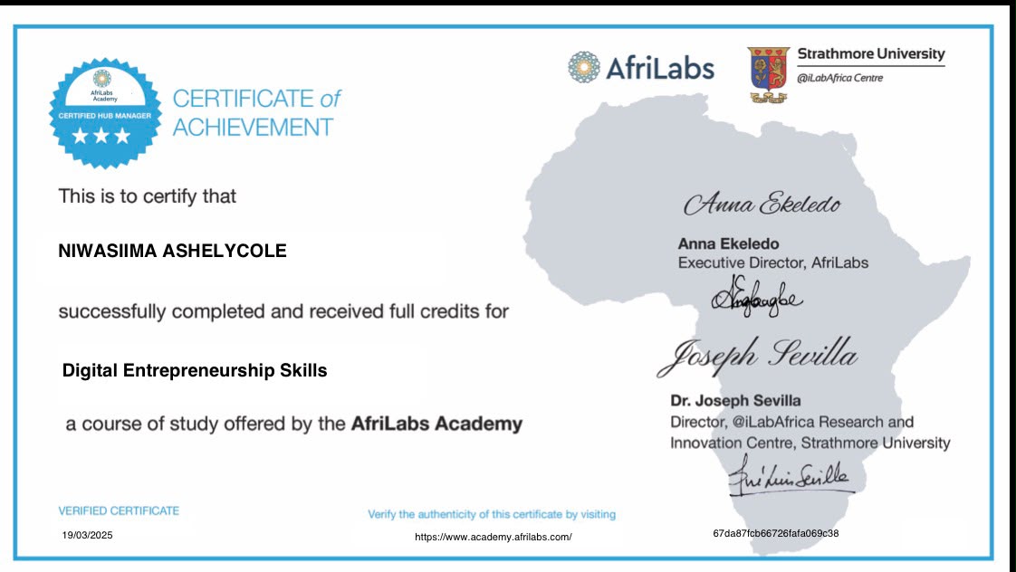 Digital Entrepreneurship Skills